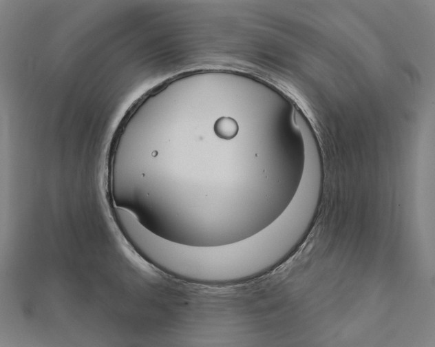 X0000111421136200908101050