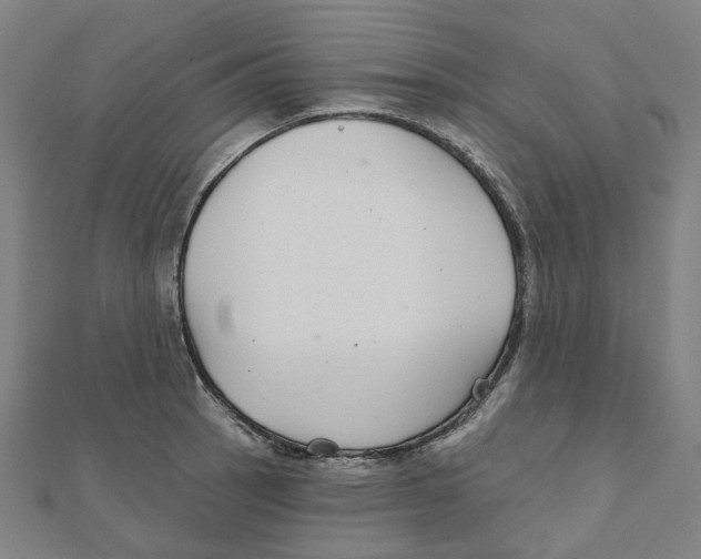 X0000111421137200908101050