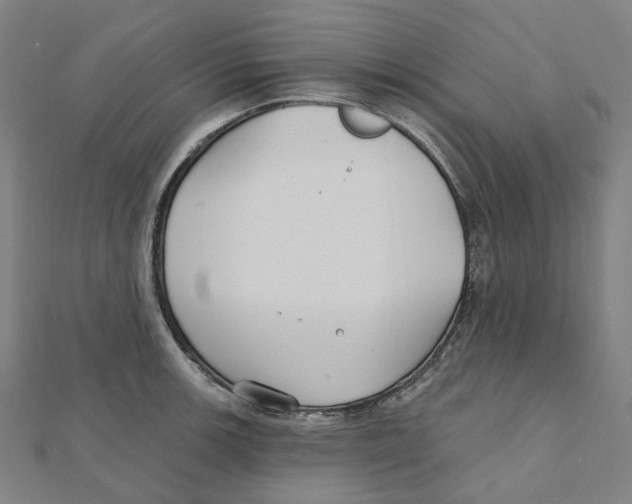 X0000111421139200908101050