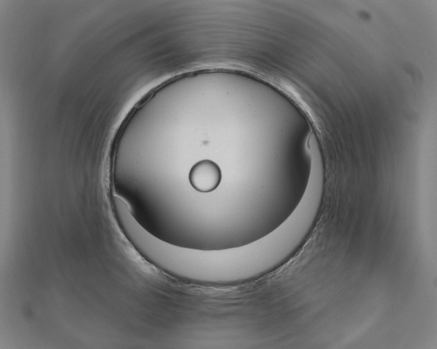 X0000111421140200908101050