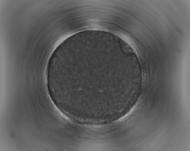 X0000111421141200908101050