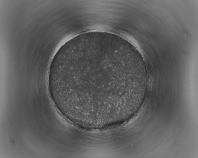 X0000111421146200908101050