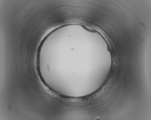 X0000111421147200908101050
