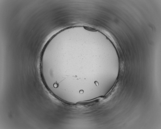 X0000111421149200908101050