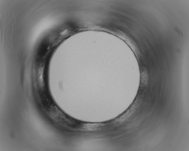 X0000111421150200908101050
