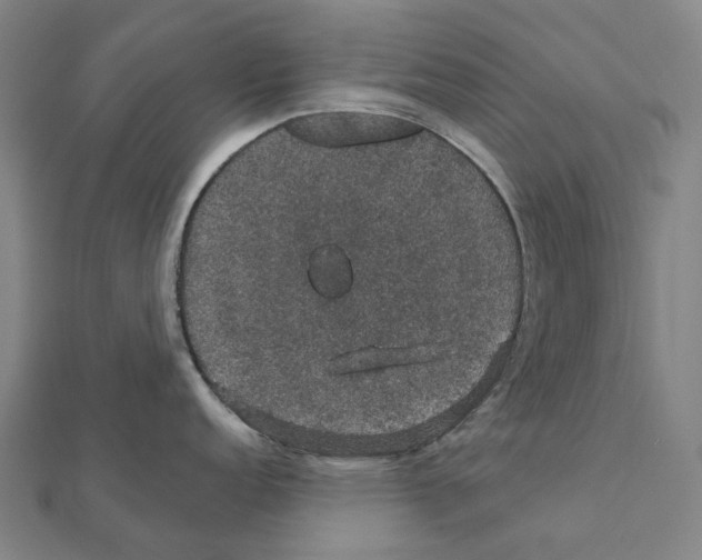 X0000111421152200908101050
