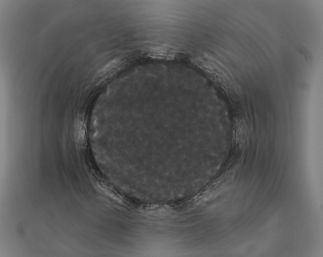 X0000111421154200908101050