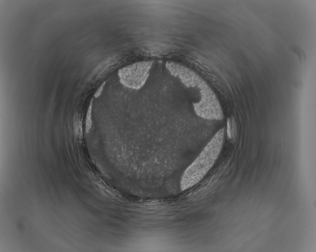 X0000111421155200908101050
