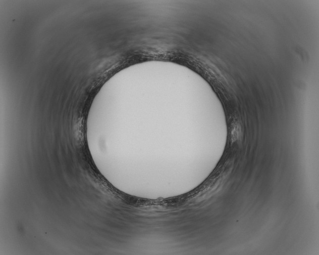 X0000111421156200908101050