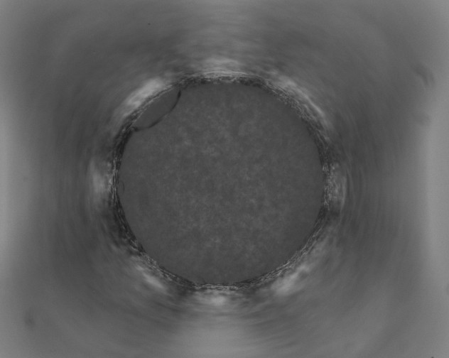 X0000111421157200908101050