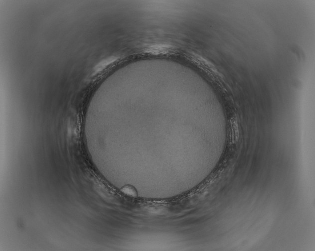 X0000111421158200908101050