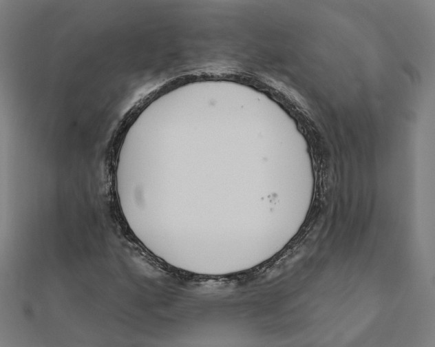 X0000111421160200908101050