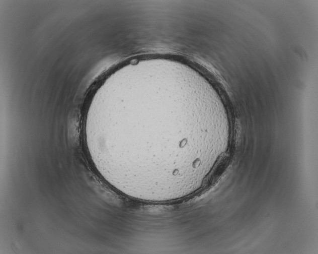 X0000111421163200908101050