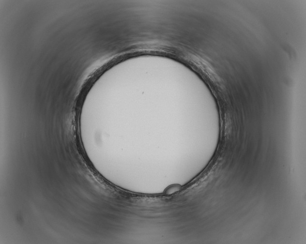X0000111421164200908101050