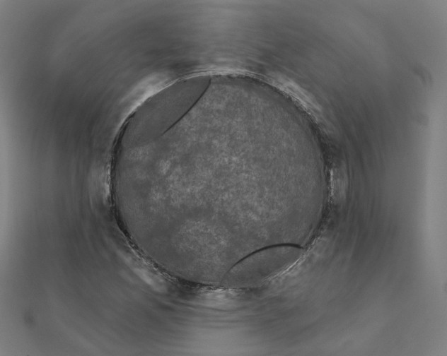 X0000111421165200908101050