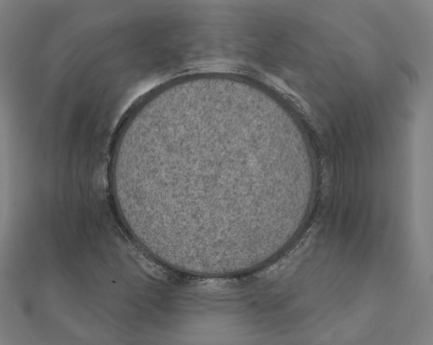X0000111421166200908101050