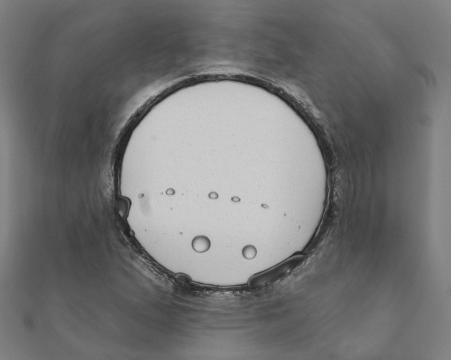 X0000111421167200908101049