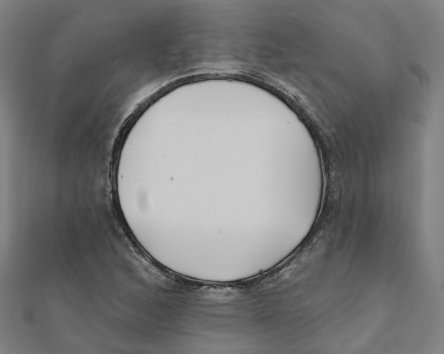 X0000111421168200908101049