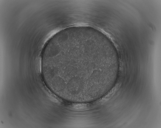 X0000111421171200908101049