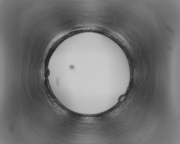 X0000111421172200908101049