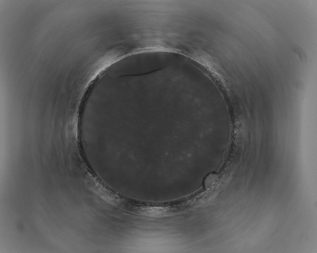 X0000111421173200908101049
