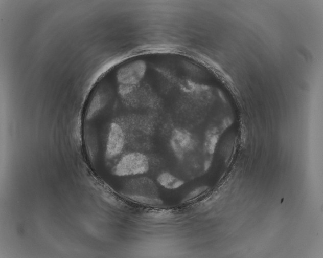 X0000111421174200908101049