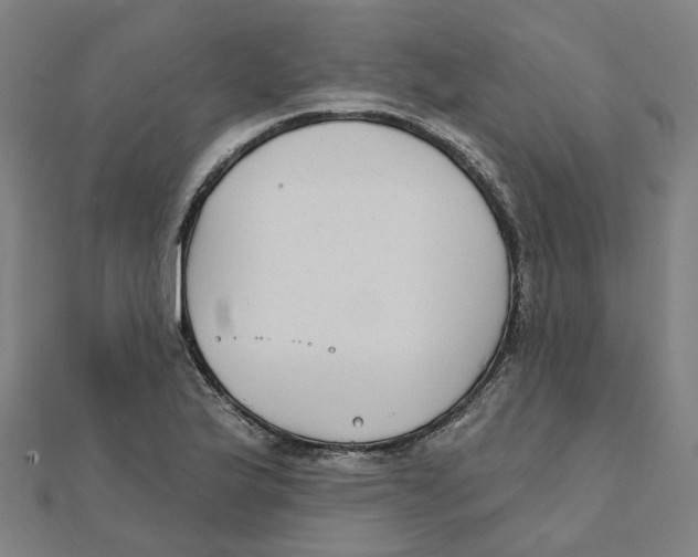 X0000111421175200908101049