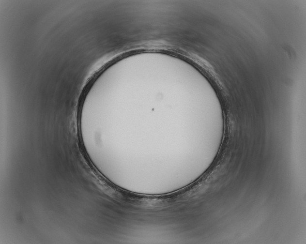 X0000111421176200908101049