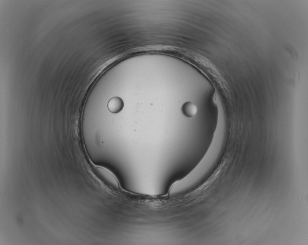X0000111421177200908101049
