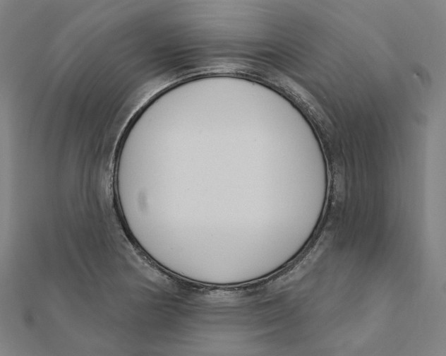 X0000111421178200908101049