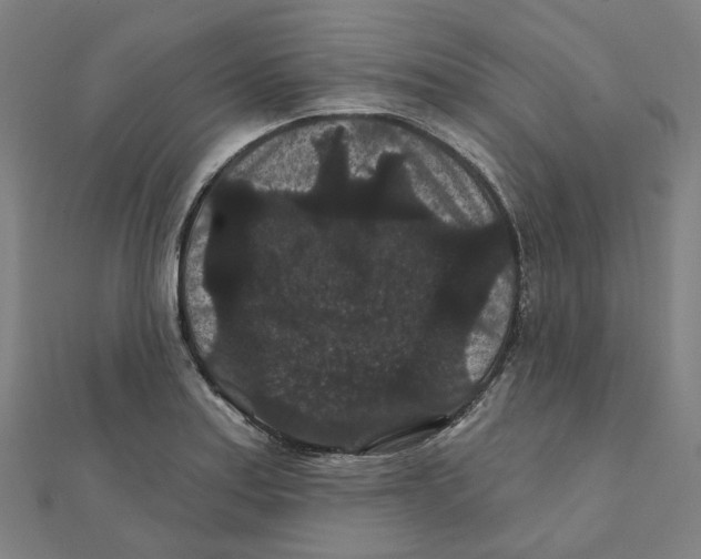 X0000111421179200908101049