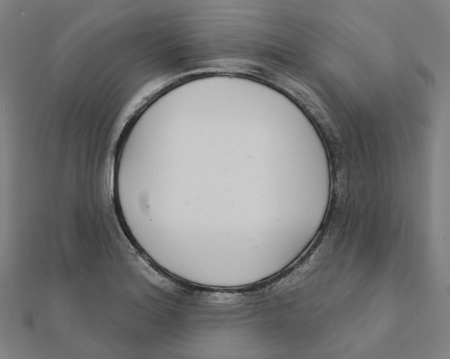 X0000111421180200908101049