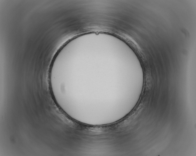 X0000111421182200908101049