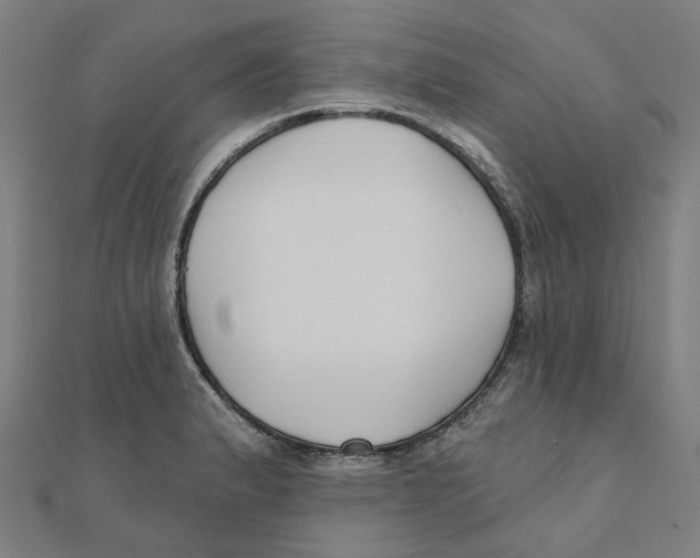 X0000111421183200908101049