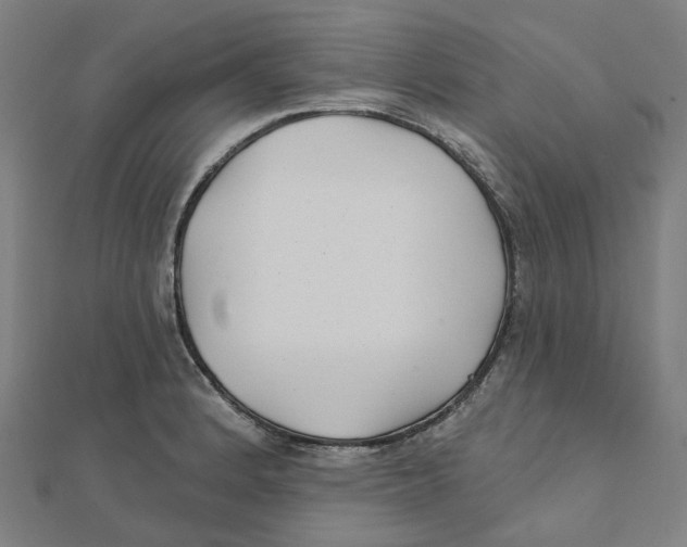 X0000111421184200908101049