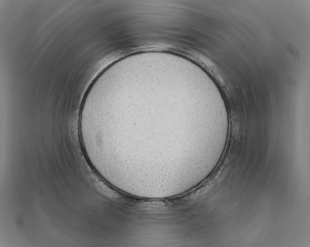 X0000111421186200908101049