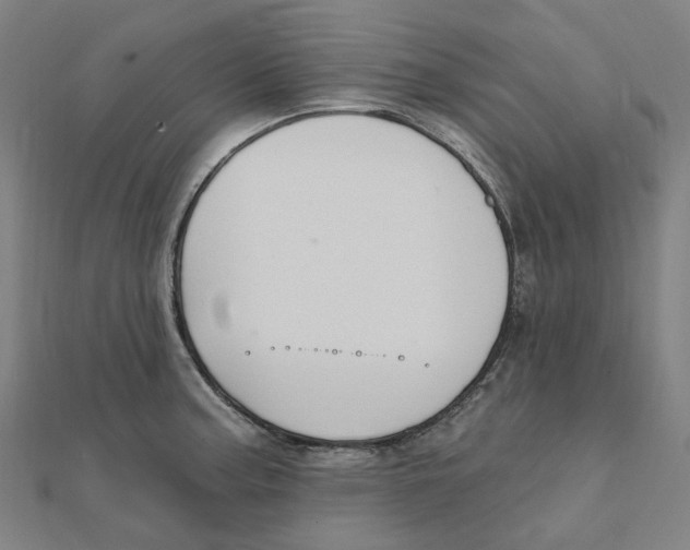 X0000111421187200908101049
