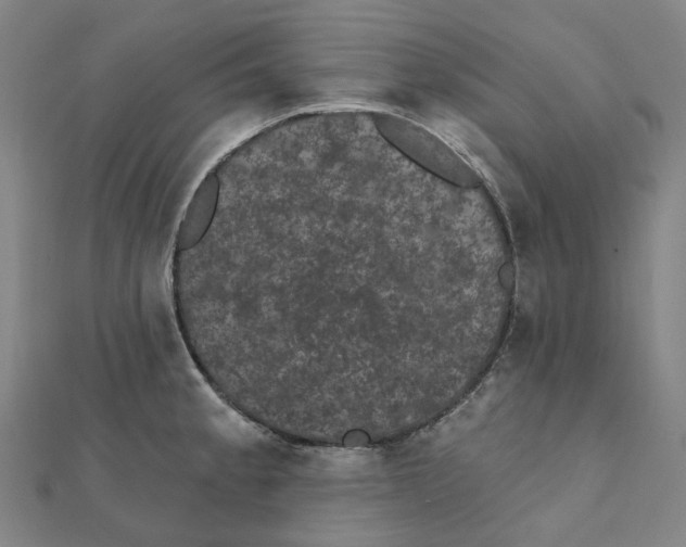 X0000111421189200908101049