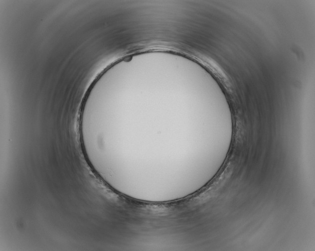 X0000111421190200908101049