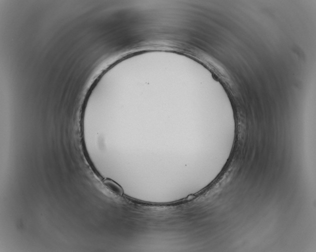 X0000111421192200908101049