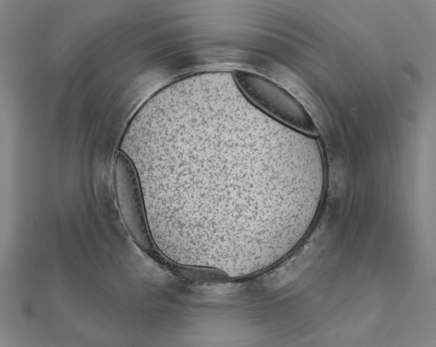 X0000111421193200908101049