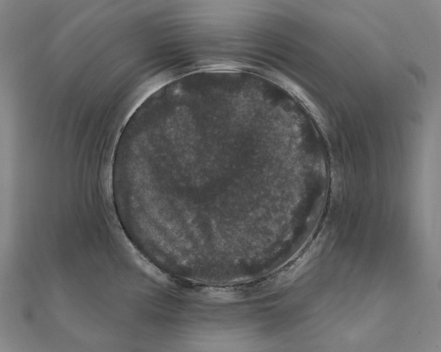 X0000111421194200908101049