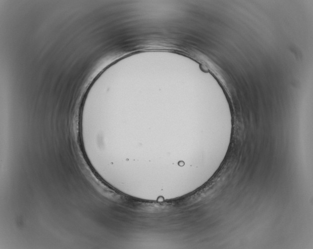 X0000111421195200908101049