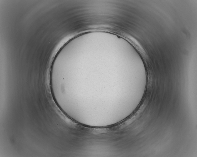 X0000111421196200908101049