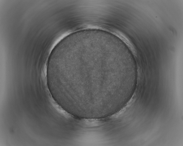 X0000111421198200908101049