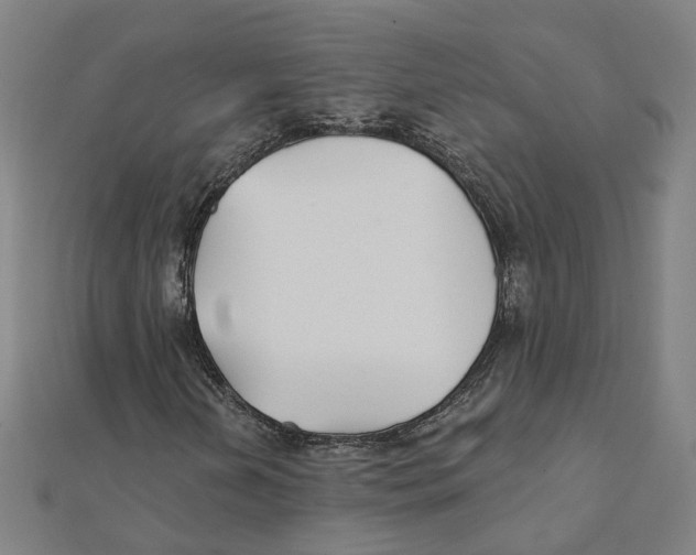 X0000111421202200908101048