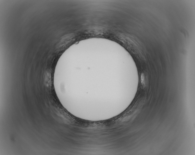 X0000111421203200908101048