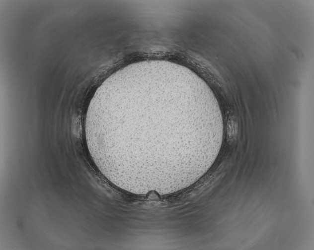 X0000111421204200908101048