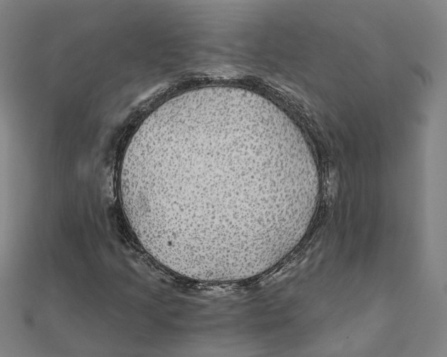 X0000111421205200908101049