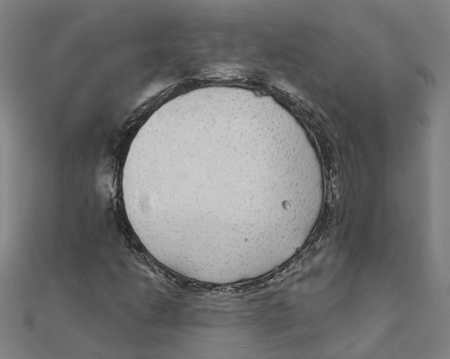 X0000111421206200908101049